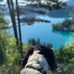 Πανσιόν Alice - Adults Only 4*