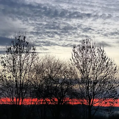 Guest house Alice - Adults Only Bled