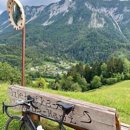 Alice - Adults Only Affittacamere