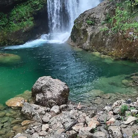 Guest house Alice - Adults Only Bled