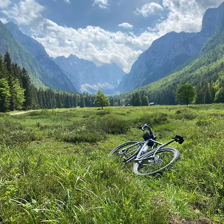 Guest house Alice - Adults Only