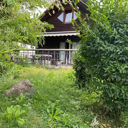 Alice - Adults Only Bled