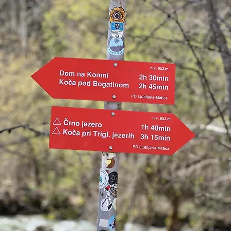 Alice - Adults Only Guest house 4*