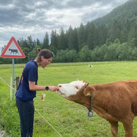 Alice - Adults Only Affittacamere