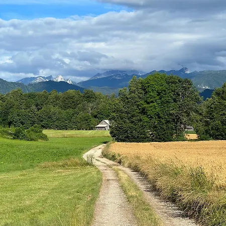 Alice - Adults Only Affittacamere