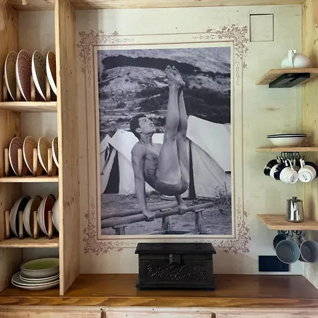 Alice - Adults Only Affittacamere 4*