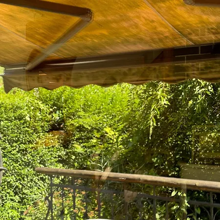 Alice - Adults Only Bled