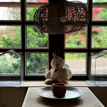 Affittacamere Alice - Adults Only