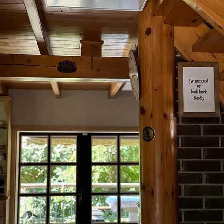 Alice - Adults Only Affittacamere