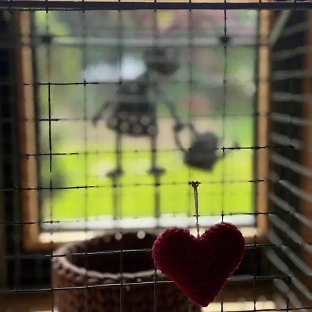 Affittacamere Alice - Adults Only 4*