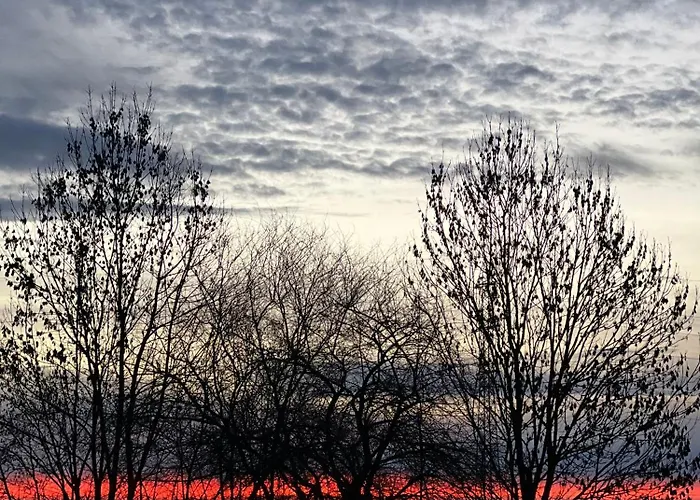 招待所 Alice - Adults Only 布莱德