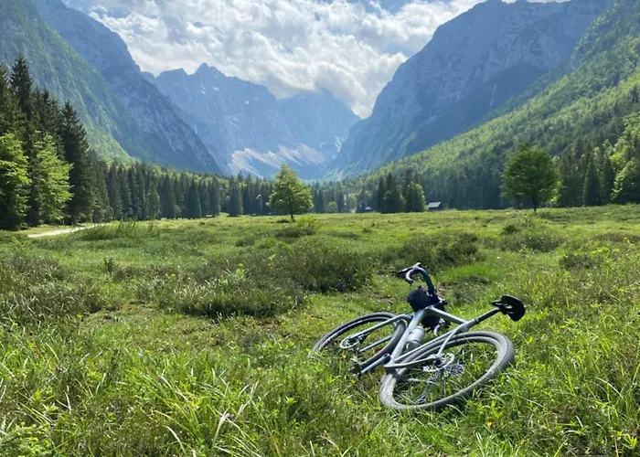 招待所 Alice - Adults Only