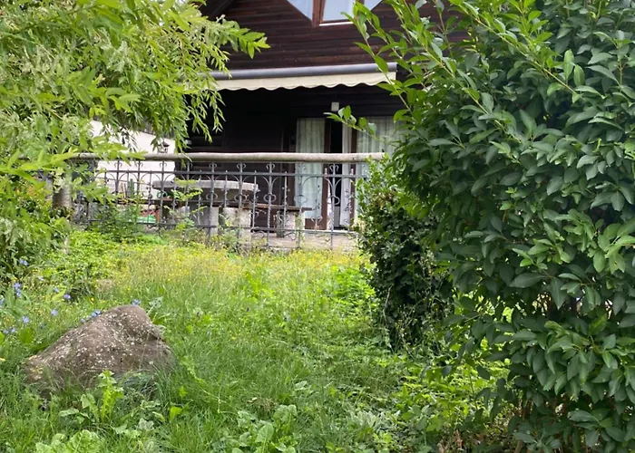 Alice - Adults Only בלד