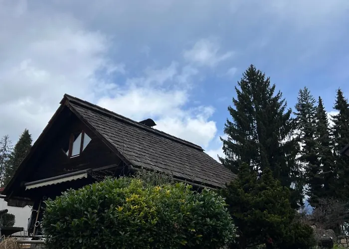 招待所 Alice - Adults Only