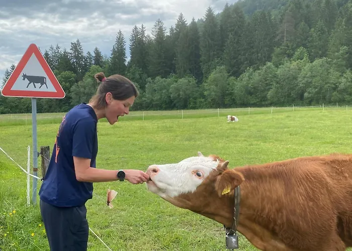 Alice - Adults Only Casa de hóspedes