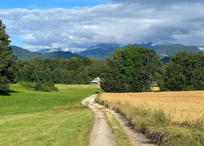 Alice - Adults Only Casa de hóspedes