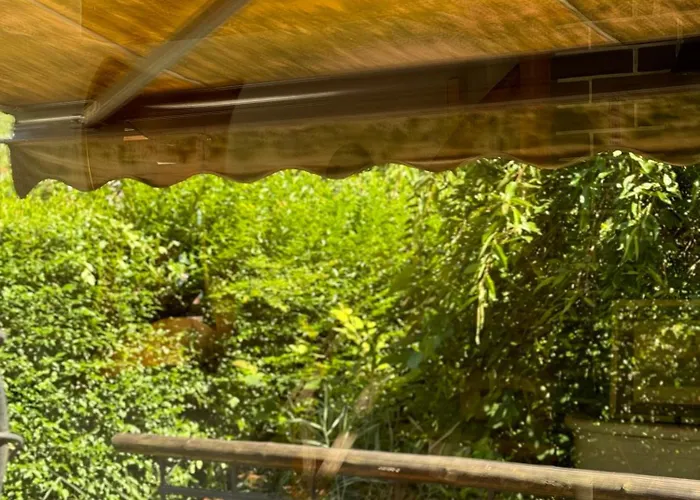 Alice - Adults Only 布莱德