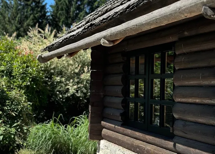 招待所 Alice - Adults Only