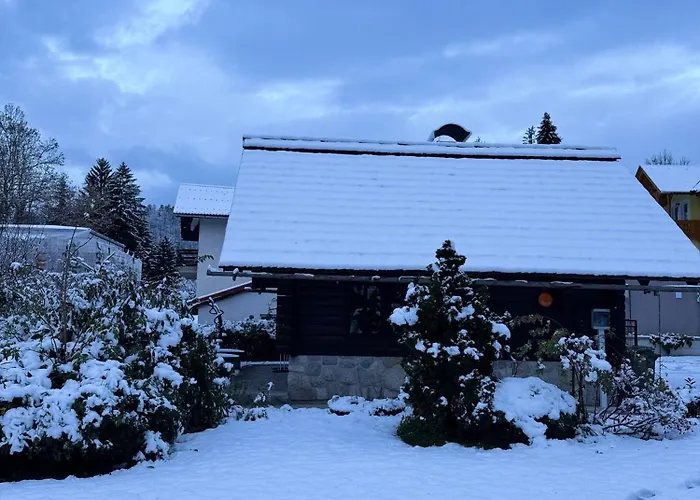 Alice - Adults Only 4*