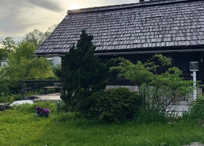 Alice - Adults Only 4* 布莱德