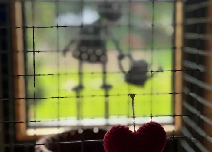 招待所 Alice - Adults Only 4*